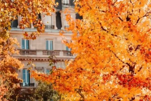 Un immeuble parisien à moitié caché par les feuilles qui ont une couleur automnale