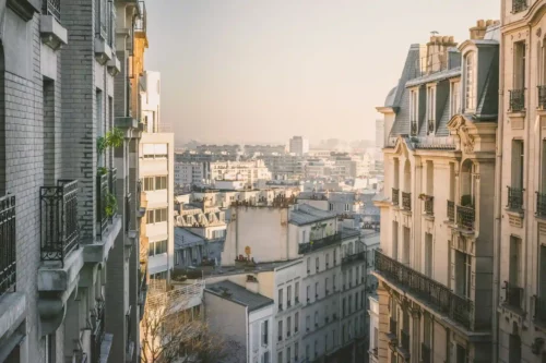 plan large de Paris avec vue sur des immeubles anciens et modernes