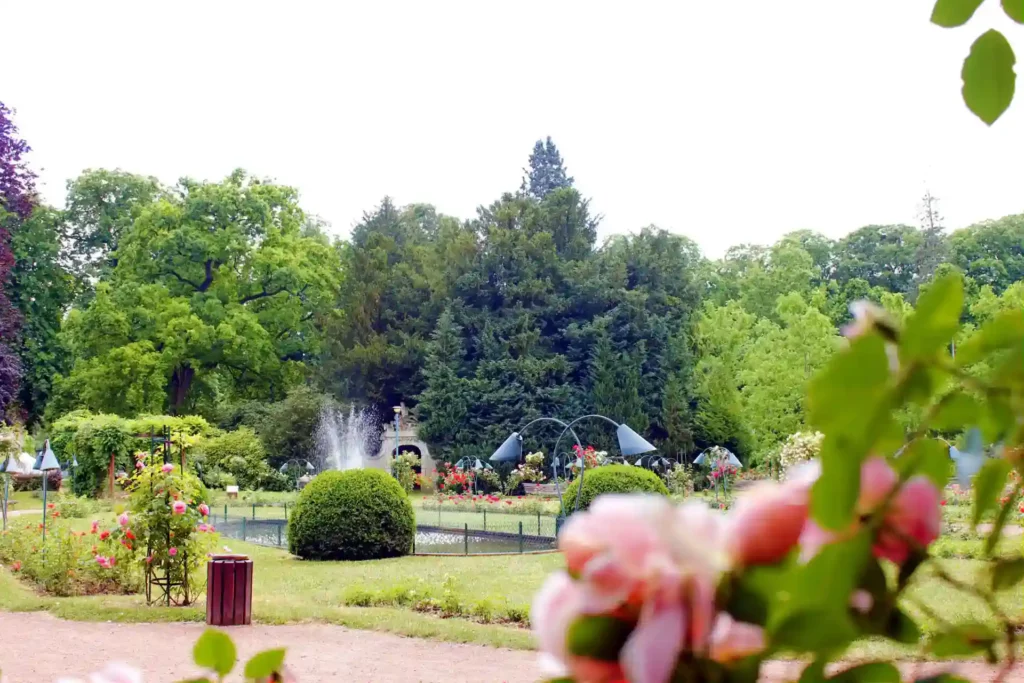 Vue sur des fleurs et la verdure du parc de la Pépinière à Nancy