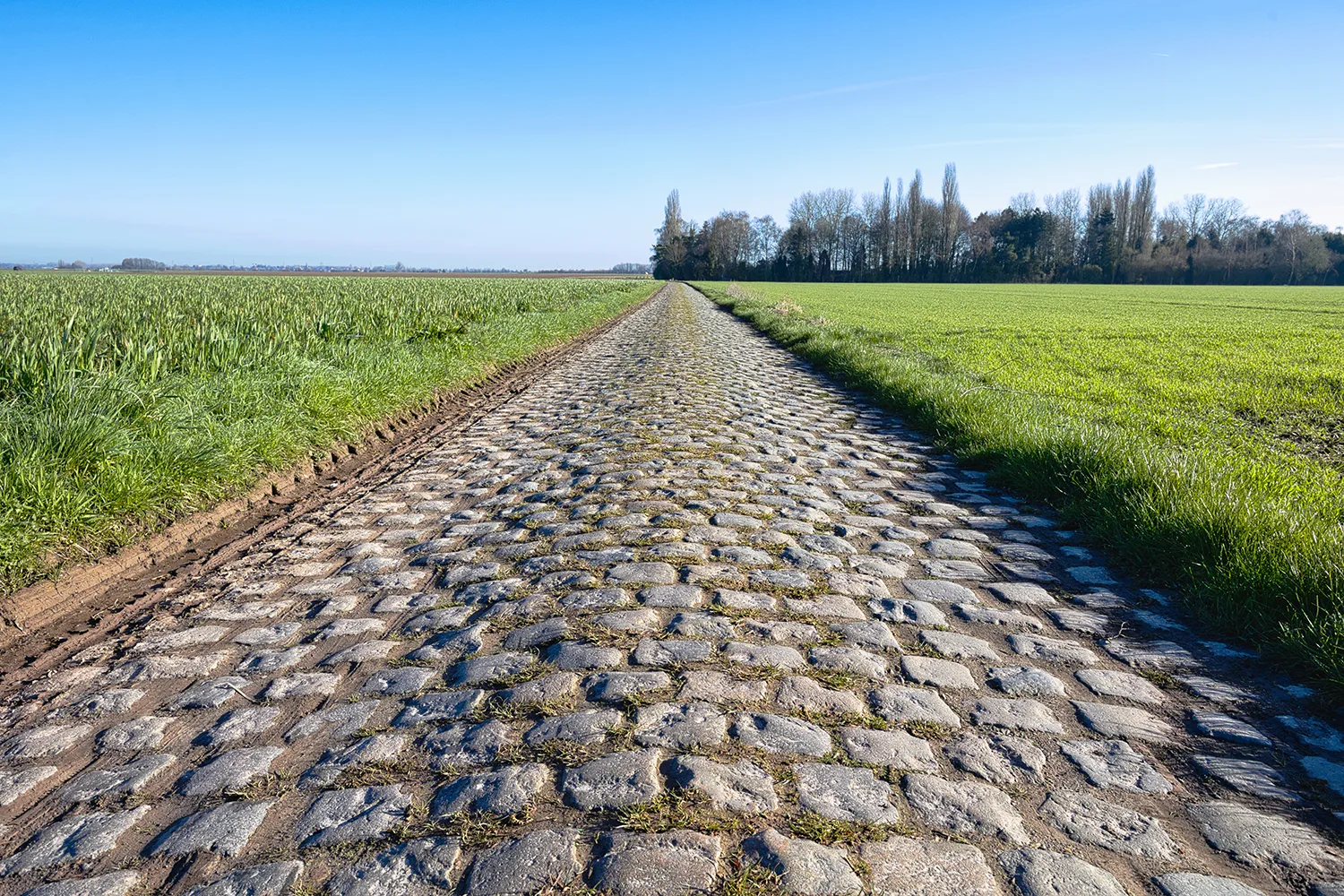 Routé pavée empruntée par les cyclistes pendant la course Paris-Roubaix